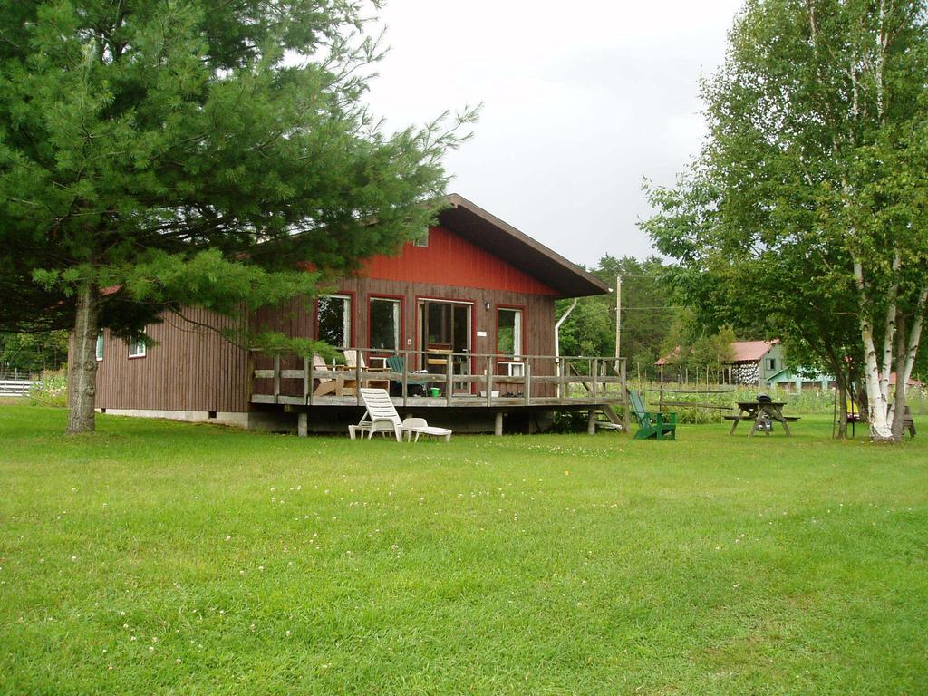 Bondi Village Cottage Resort Lake of Bays Buitenkant foto