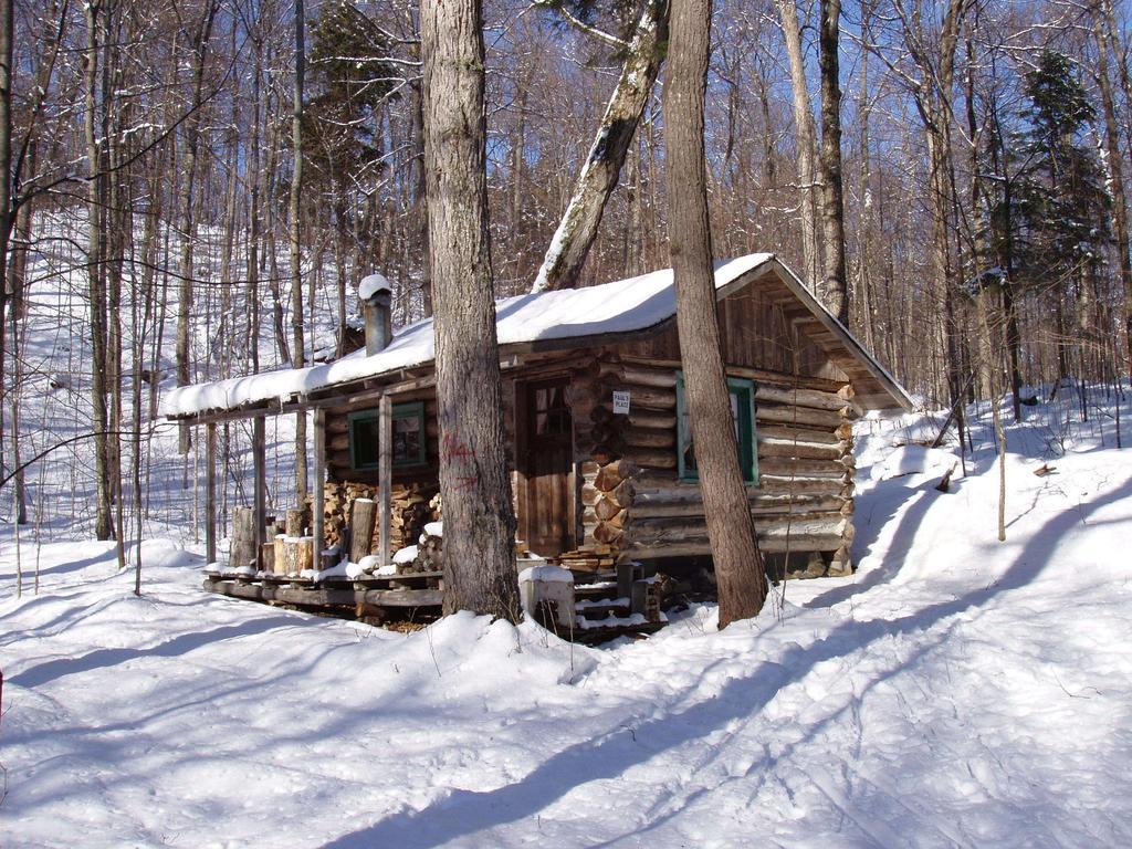 Bondi Village Cottage Resort Lake of Bays Buitenkant foto